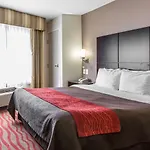 Comfort Inn Los Angeles near Hollywood